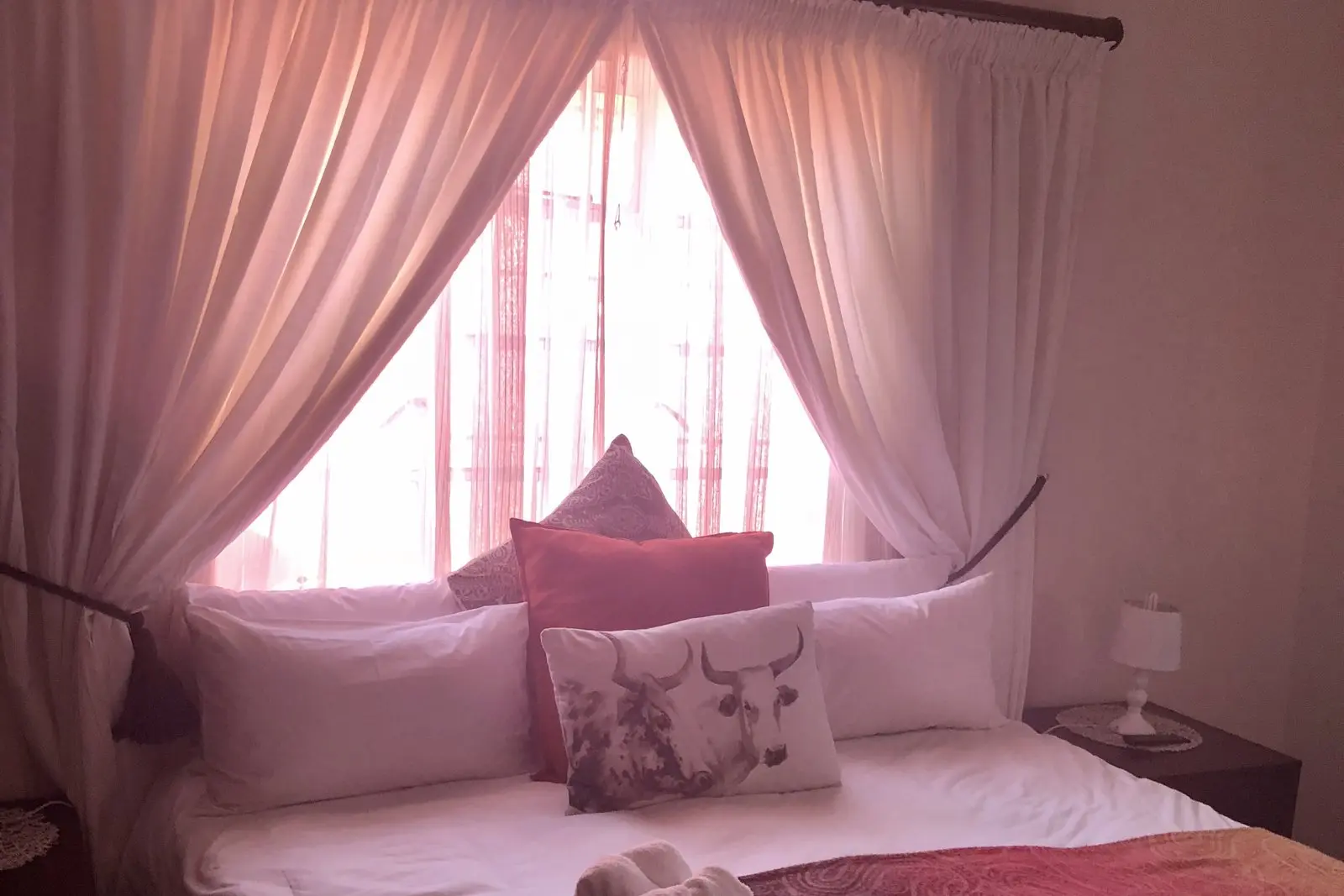 A pink-lit room corner with a canopy bed and cushions