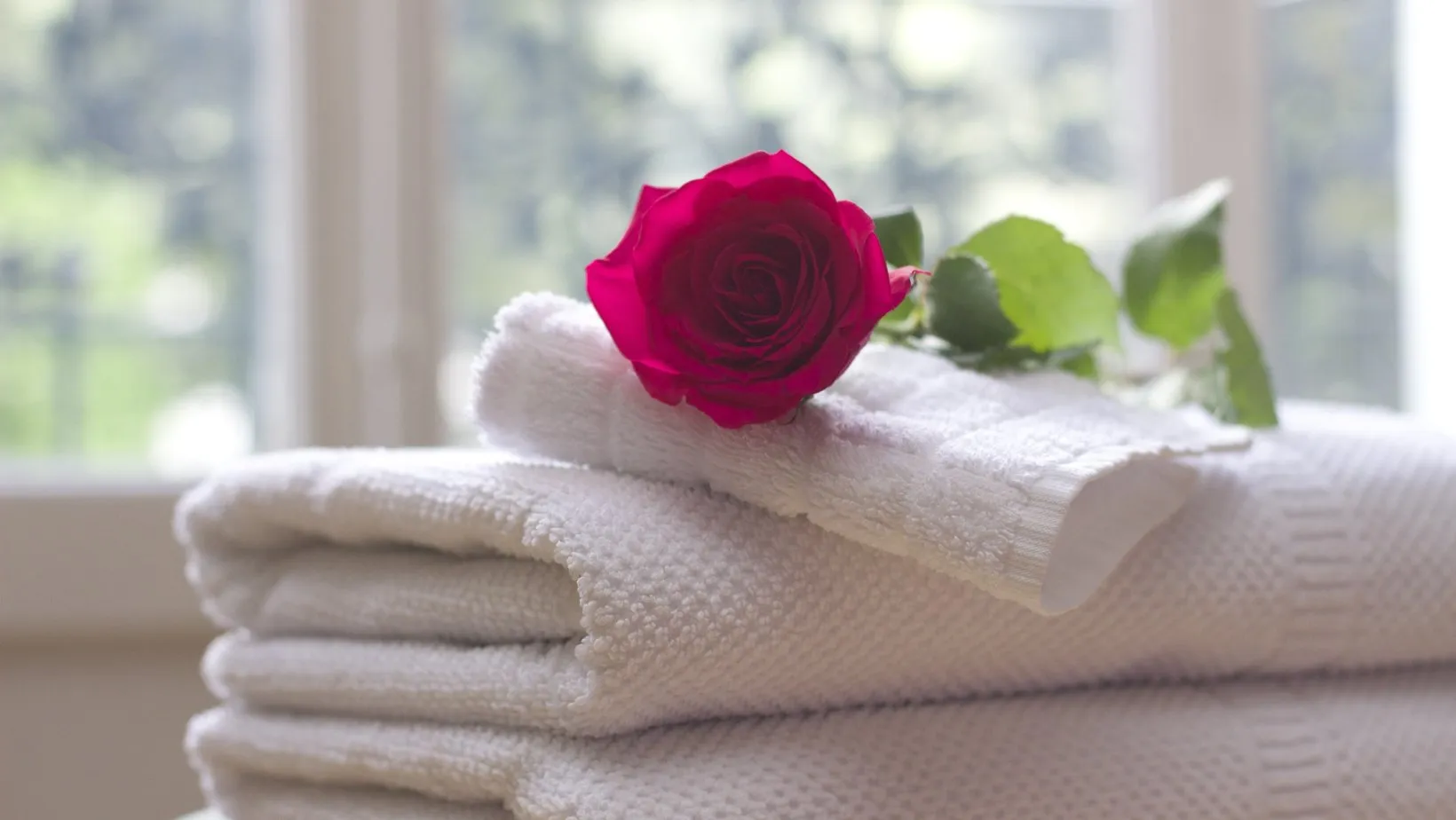 A red rose resting on a stack of folded white towels