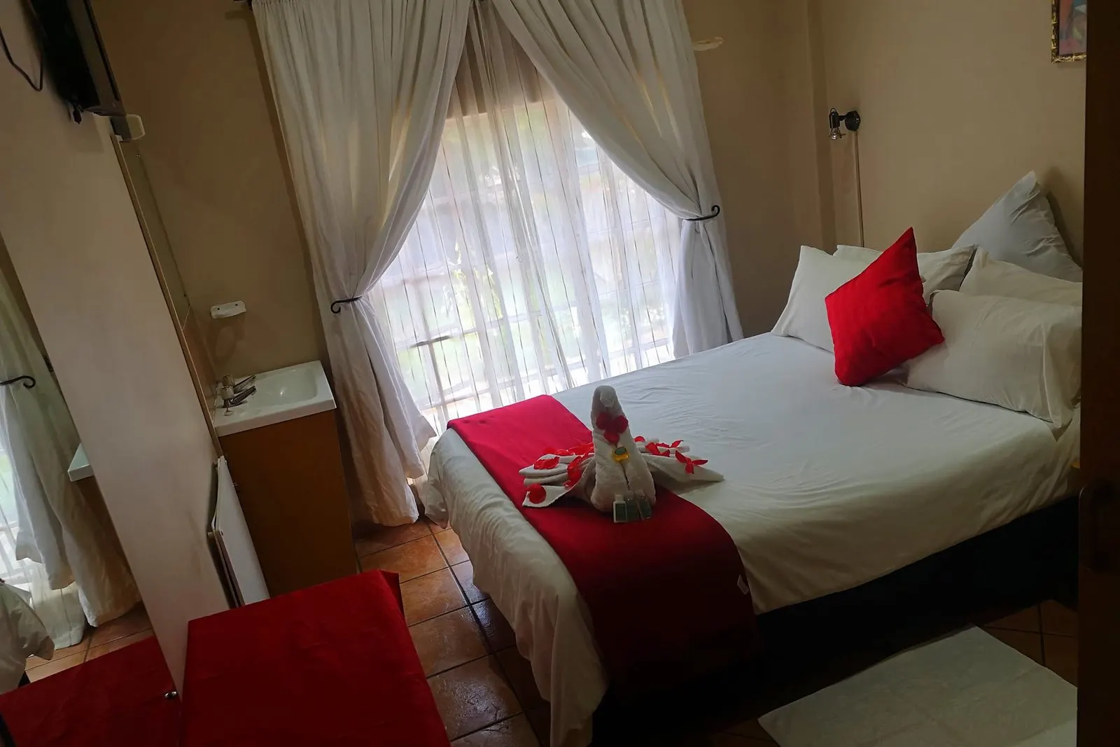 A single room with a red accent cushion and bedside lamp